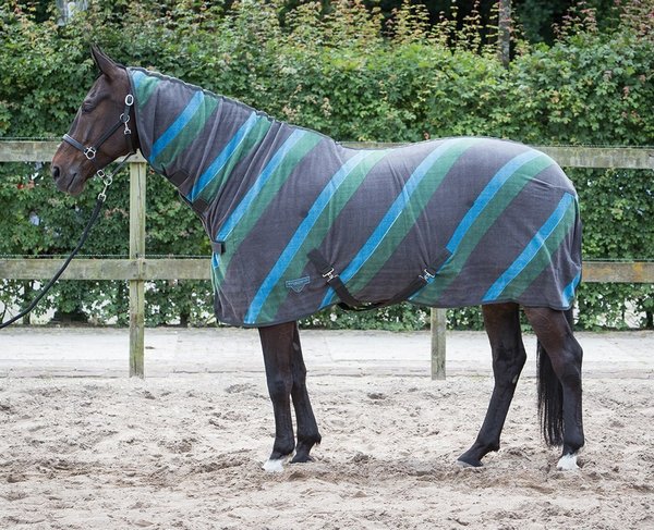 Harrys Horse Fleece Decke WI16