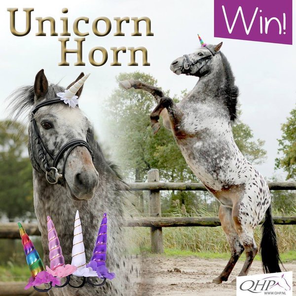 QHP Unicorn - Einhorn Horn