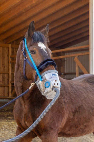 Hippomed Ultraschall-Inhalator für Pferde AirOne
