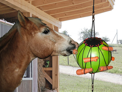 Therapie-Spielball für Pferde