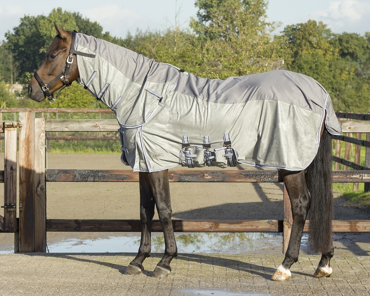 QHP Fliegendecke XL für großrahmige Pferde mit Hals und Hut grau Frontverschluss 3 Bauchgurte Schweiflatz