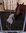 QHP Pferdespielzeug Einhorn ; Karotte ; Pferdekopf