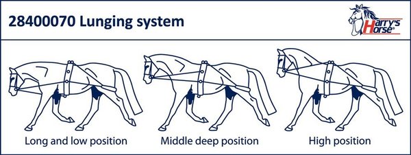 Harrys Horse Longierausbindezügel Longiersystem
