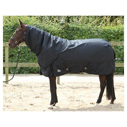 Harrys Horse Outdoor Decke Thor, 400 Gramm, Combo Stretch Limo