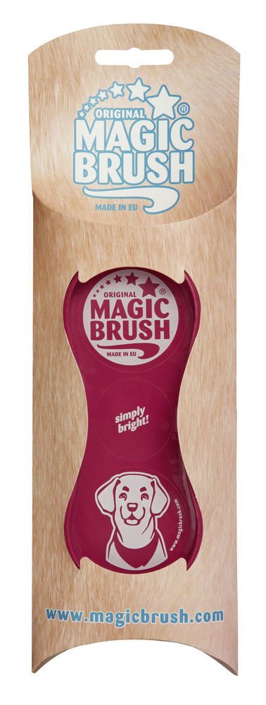 Magic Brush Dog