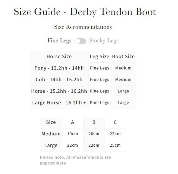 LeMieux Derby ProJump Tendon Boots